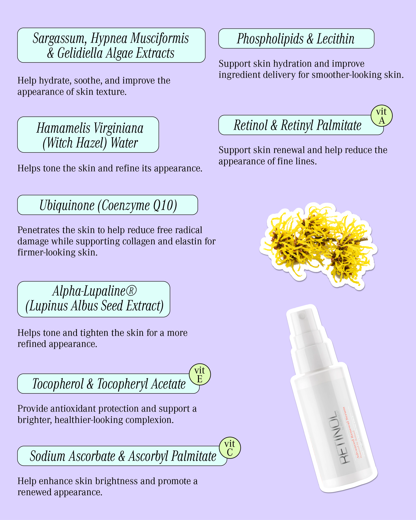 Advanced Renewal Serum